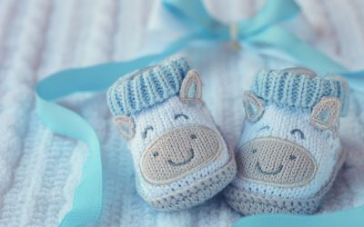 Conceptwetsvoorstel aanvulling partnerverlof