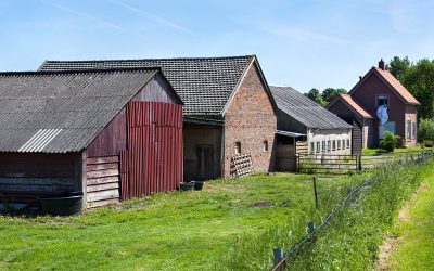Na inbreng onderneming in bv is er geen keuzevermogen