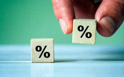 Hoge Raad halveert belastingrente voor bv’s