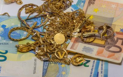 Hof akkoord met gebruikelijk loon van € 7.500